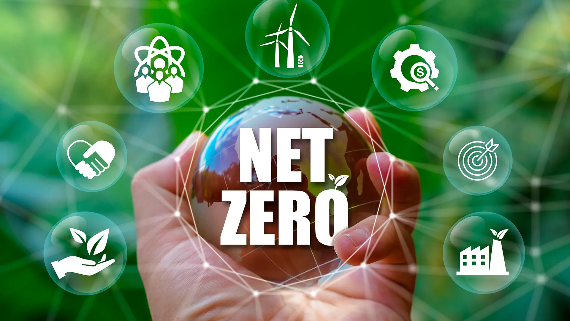 Đăng ký tham gia chương trình SBVN NET ZERO