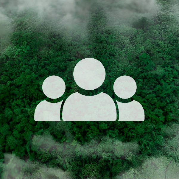 Top experts in Vietnam