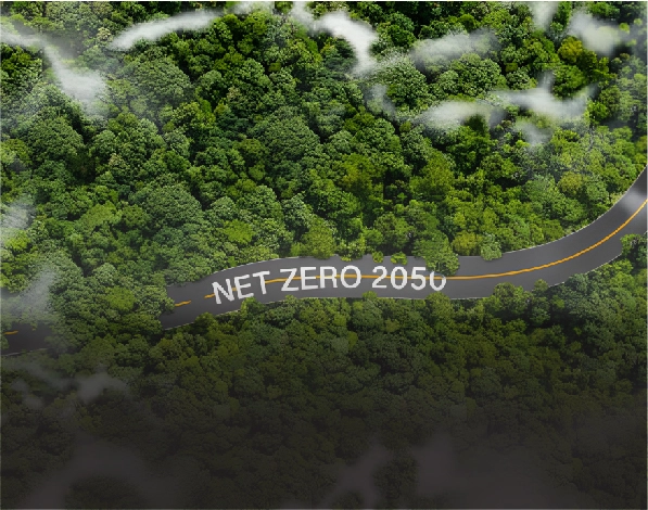 SBVN NET ZERO